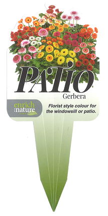 Gerbera Patio Label.png
